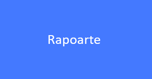 Rapoarte